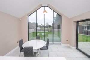 THE CONIFERS- click for photo gallery